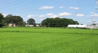農地転用に関すること 農地に建物や施設を造る場合は、農地法に基づく農地転用等の土地利用に関する官公庁の許認可が必要です。